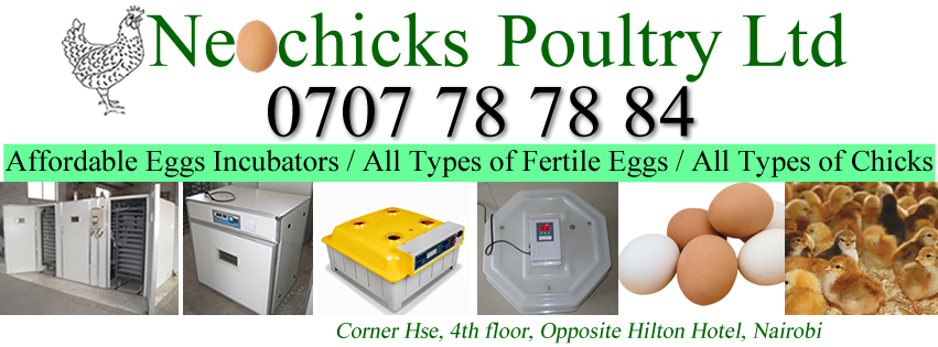 Neochicks Poultry-Ltd