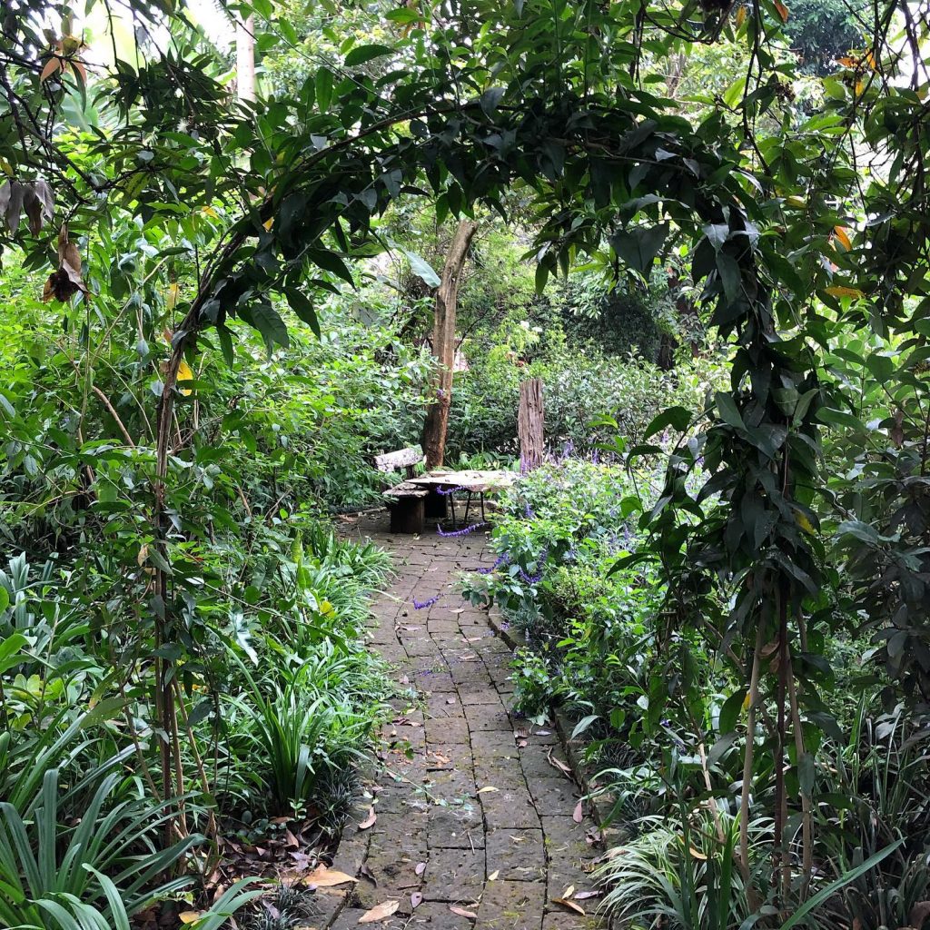 Mandhari Plants & Designs