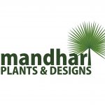 Mandhari Plants & Designs