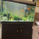 Aquanetiks Pet Shop 254