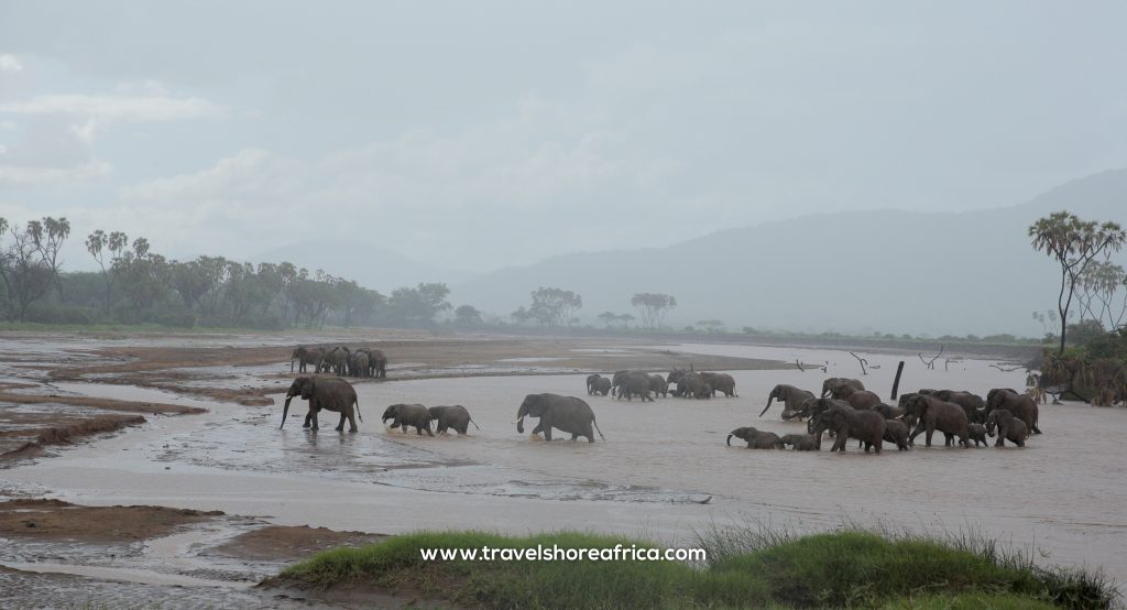 TRAVE SHORE AFRICA LTD