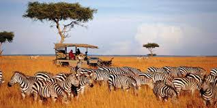 F. King’s Tours & Safaris