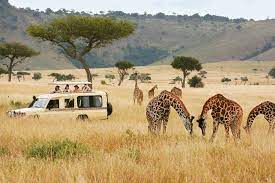 Eddie Mors African Tours and Safaris