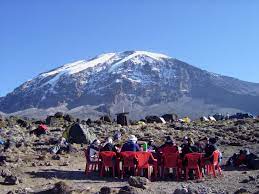 Spot Kenya Safaris