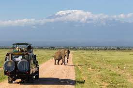 AFRICA SERMON SAFARIS