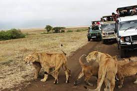 Taylors Nakuru Travel Centre Ltd
