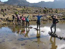 TUJUANE ADVENTURES &SAFARIS